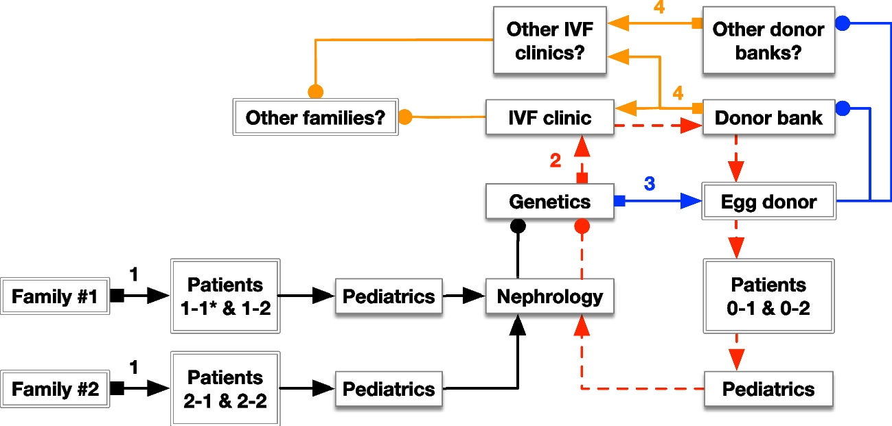 Diagnosing a genetic disease in a donor-conceived child: case report and discussion of the ethical, legal, and practical issues