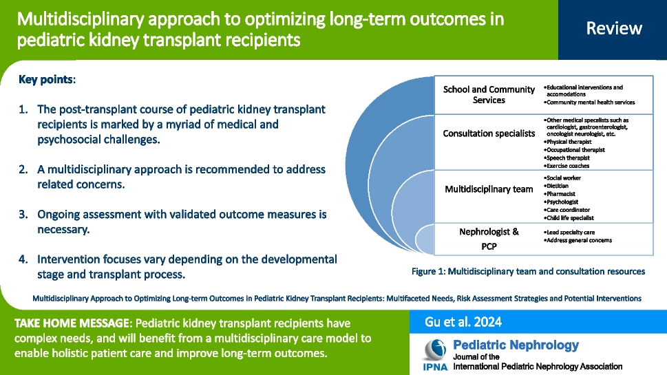 Multidisciplinary approach to optimizing long-term outcomes in pediatric kidney transplant recipients: multifaceted needs, risk assessment strategies, and potential interventions