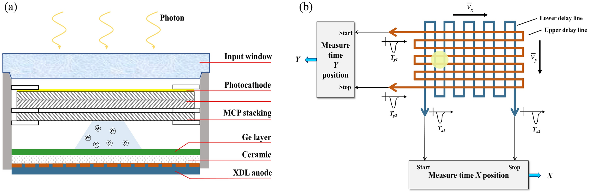 Image distortion correction based on partial polynomial model for a large-array photon-counting detector