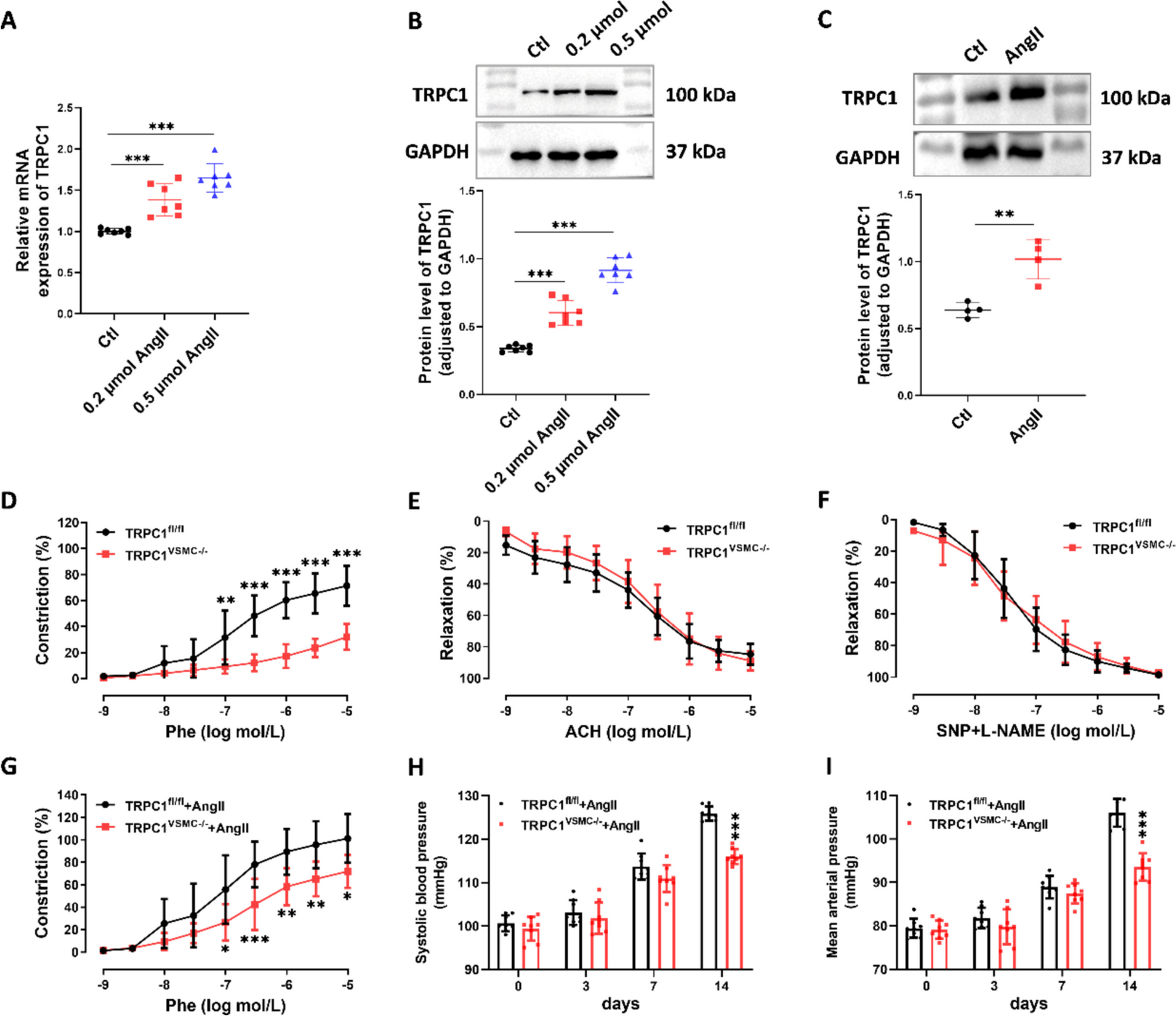 VSMC-specific TRPC1 deletion attenuates angiotensin II-induced hypertension and cardiovascular remodeling