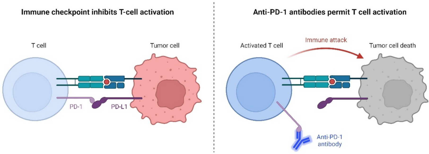 The safety and efficacy of anti-PD-1/PD-L1 monoclonal antibodies for lung cancer brain metastasis: a systematic review and meta-analysis on brain metastasis