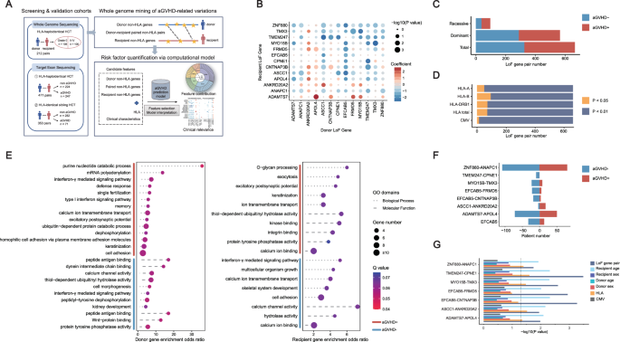Systematic mining and quantification reveal the dominant contribution of non-HLA variations to acute graft-versus-host disease
