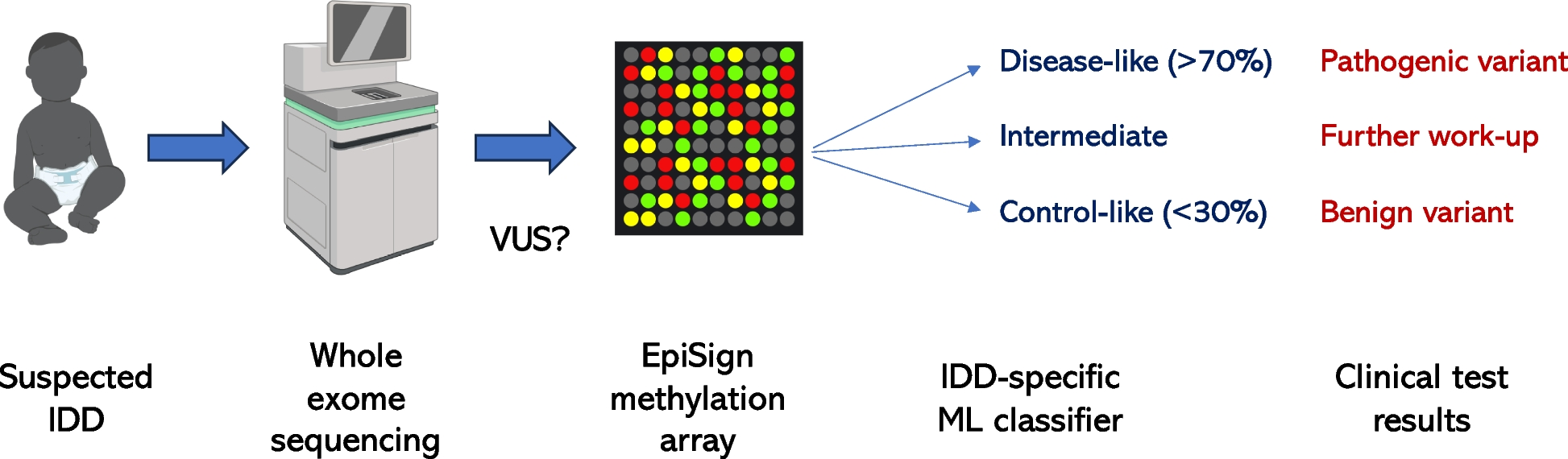 DNA methylation biomarkers of intellectual/developmental disability across the lifespan