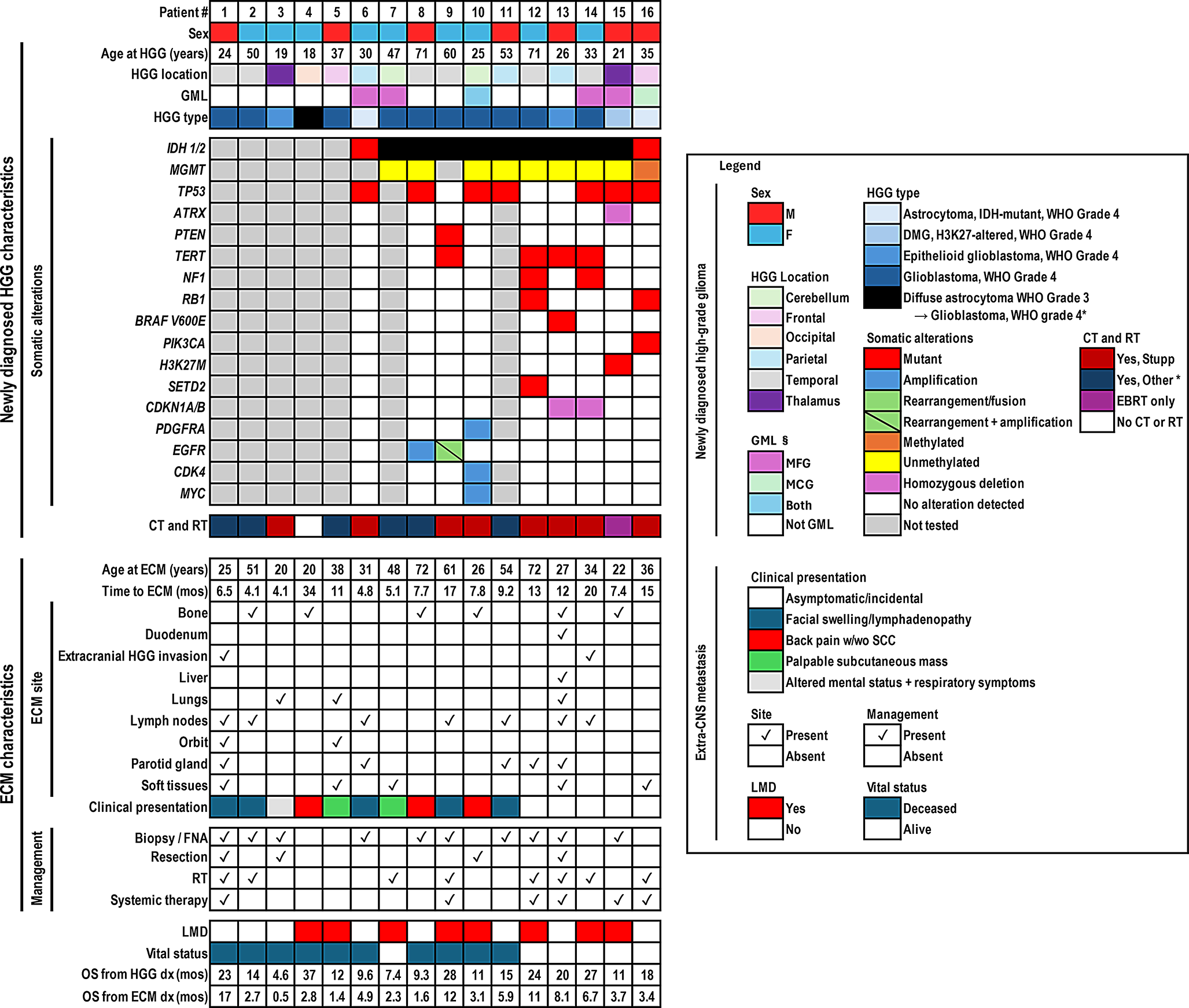 Extra-central nervous system metastasis from high-grade glioma: a single-institution experience