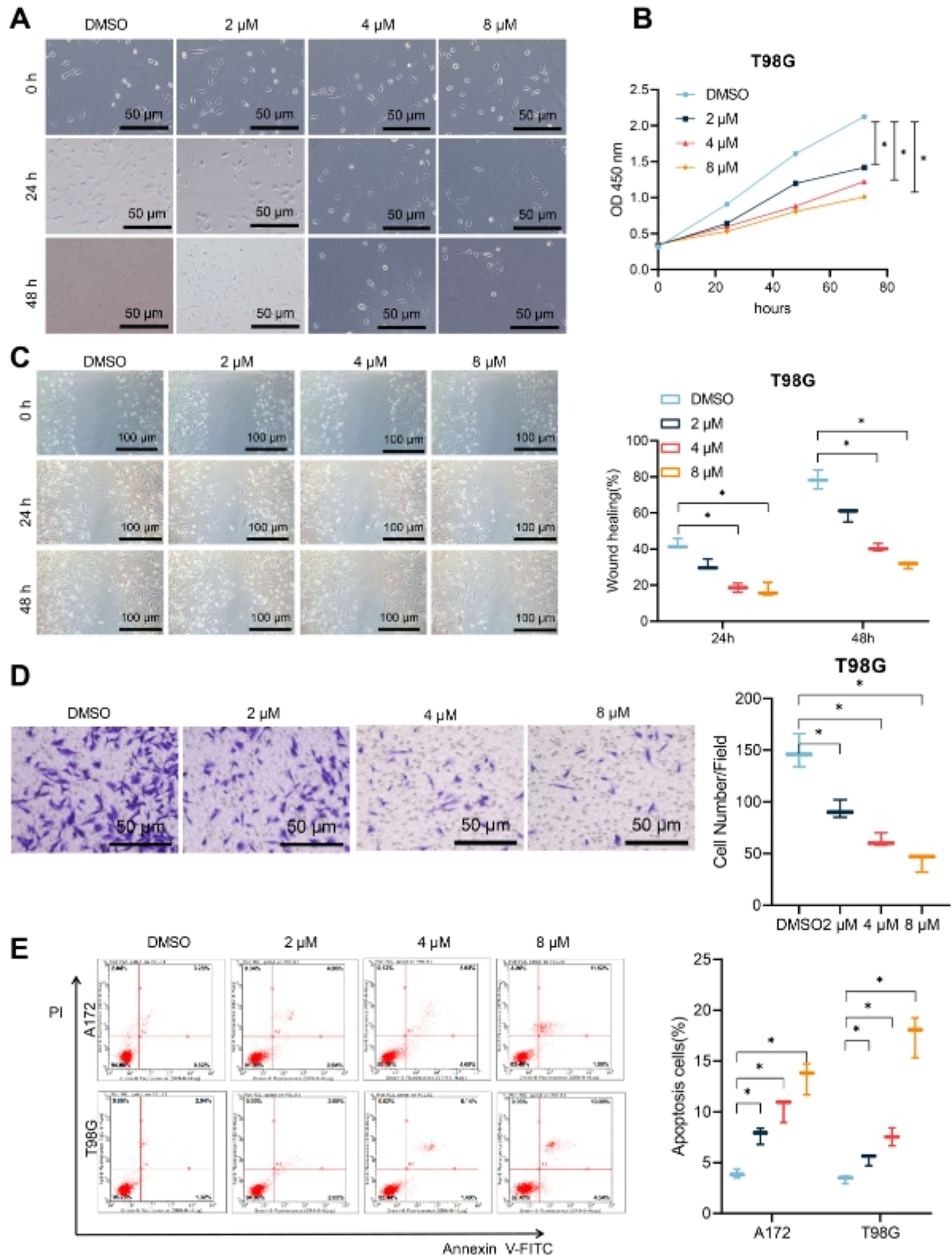 Ciprofol reduces postoperative glioma recurrence by promoting MAPK11-PML phosphorylation: insights from transcriptomic and proteomic analysis
