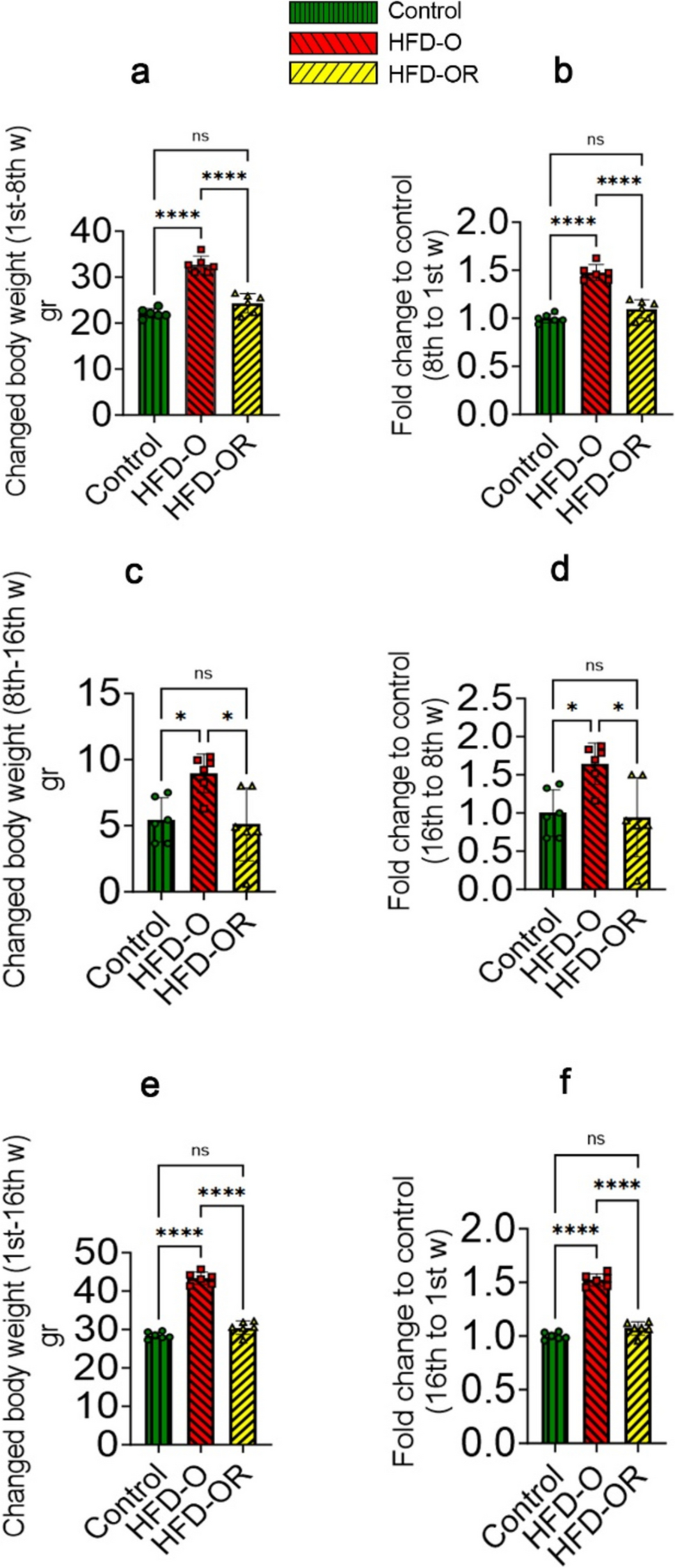 A Comparative Study on the Adverse Effects of a High-Fat Diet on Testicular Tissue: Exploring the Difference Between Obesity-Prone and Obesity-Resistant Mice