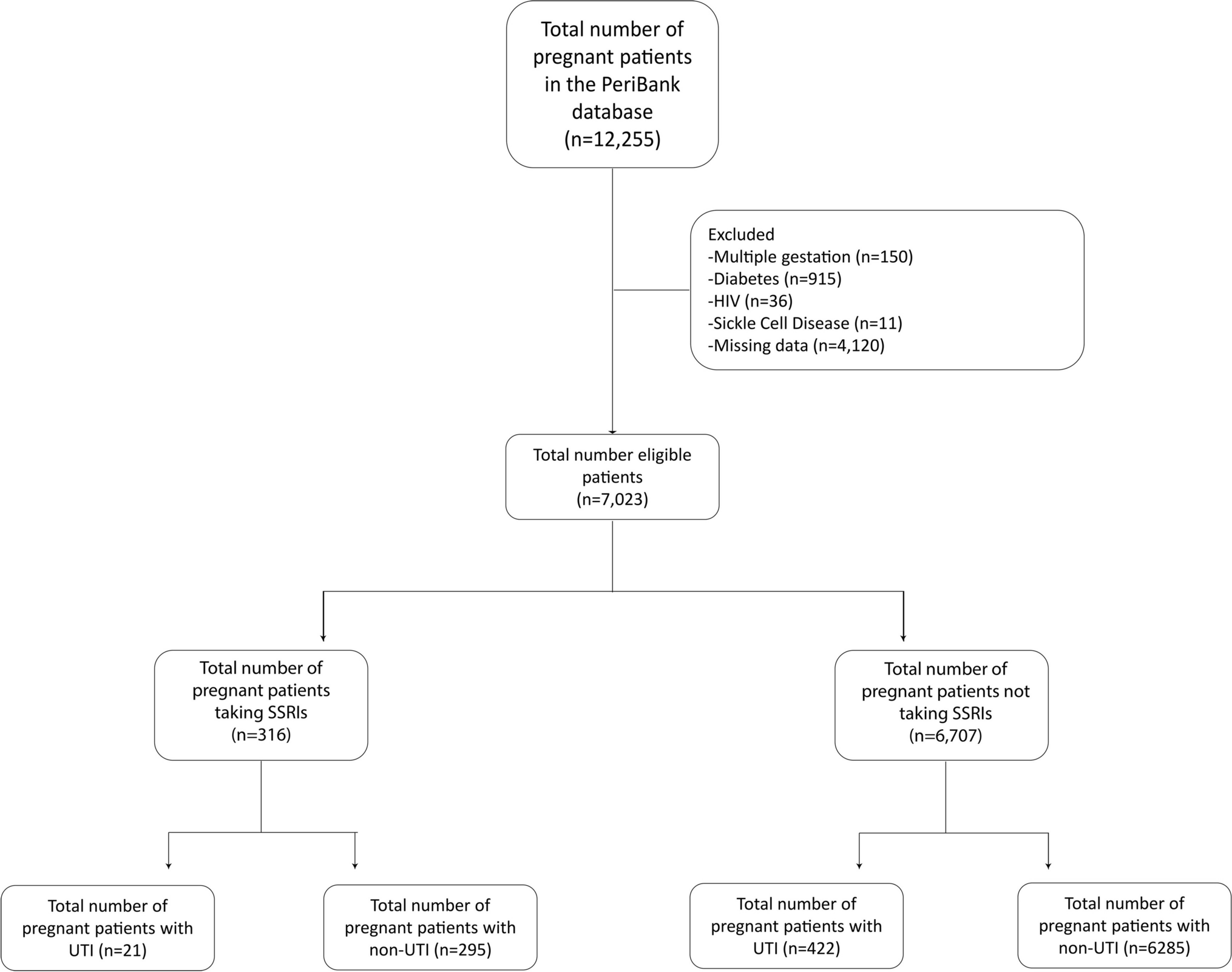 Effects of Selective Serotonin Reuptake Inhibitors and Ondansetron on Urinary Tract Infections in Pregnancy