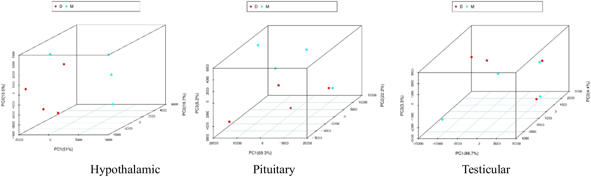 Assessment of Electroacupuncture Therapy with Distant-Approximal Acupoints Based on the HPT Axis in Rats with Oligoasthenospermia Through Transcriptomic Analysis