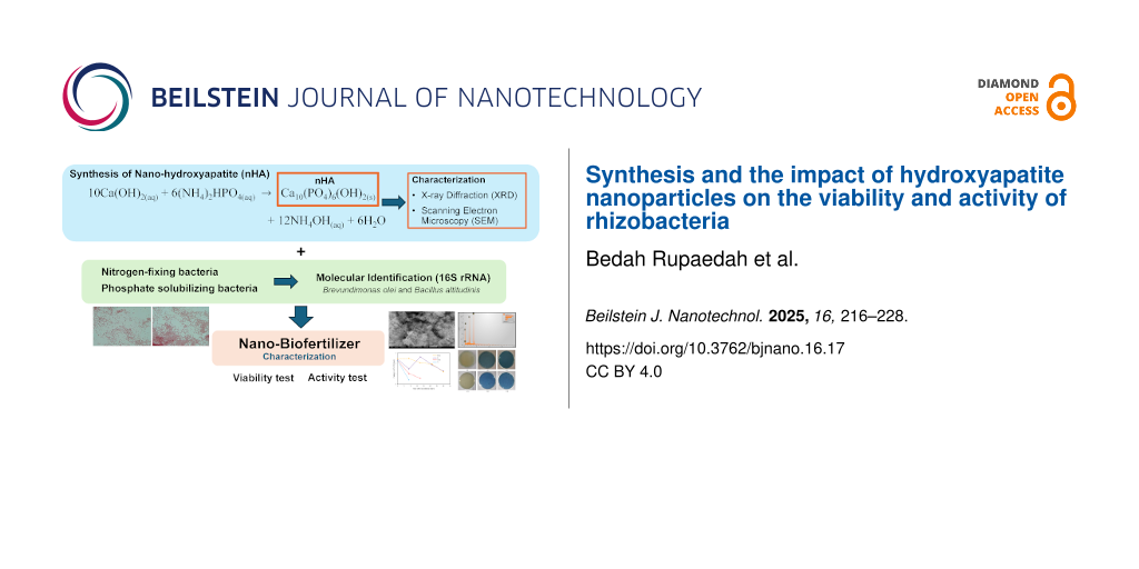 Synthesis and the impact of hydroxyapatite nanoparticles on the viability and activity of rhizobacteria