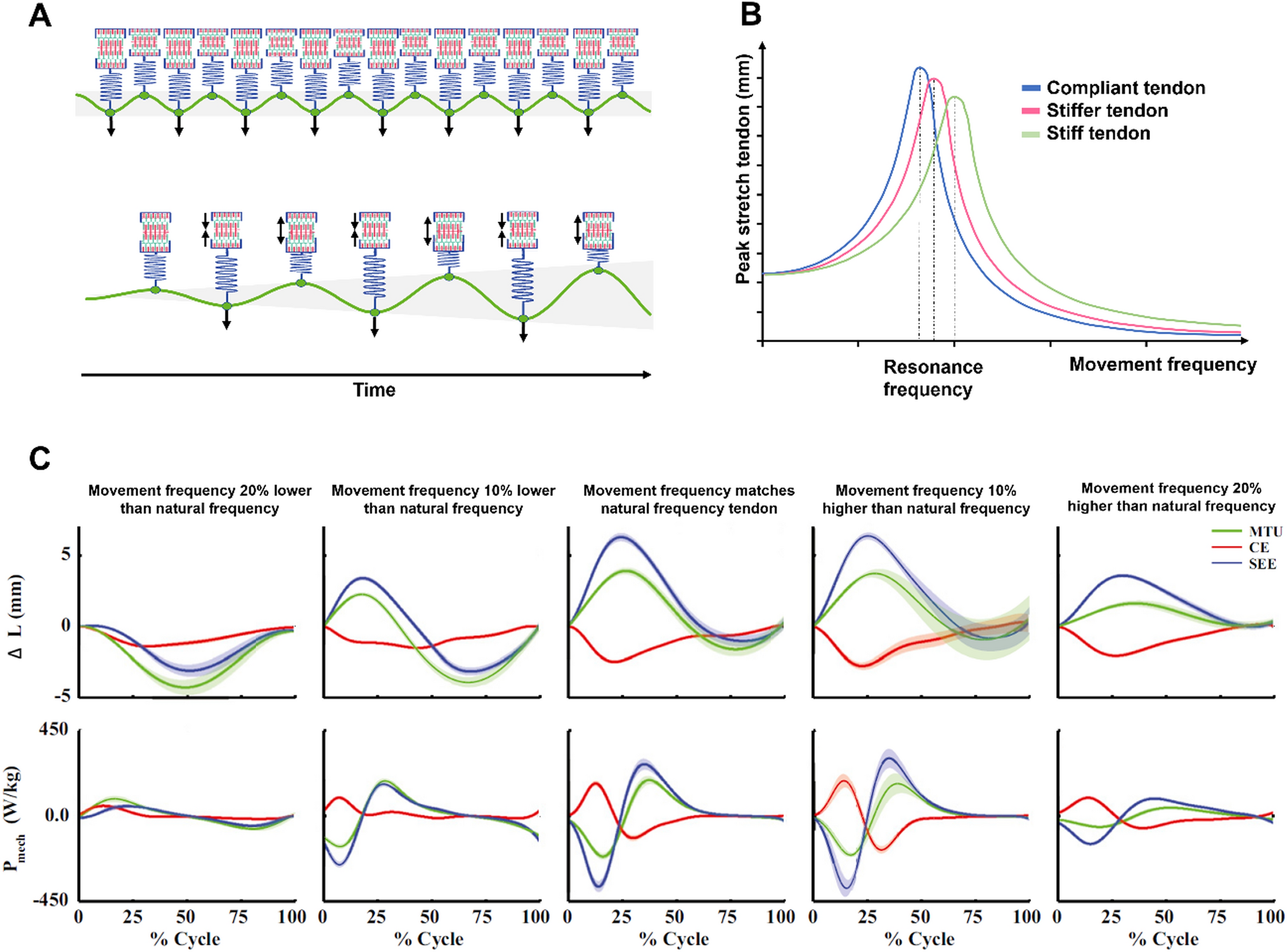 Correction to: Optimizing Resistance Training for Sprint and Endurance Athletes: Balancing Positive and Negative Adaptations