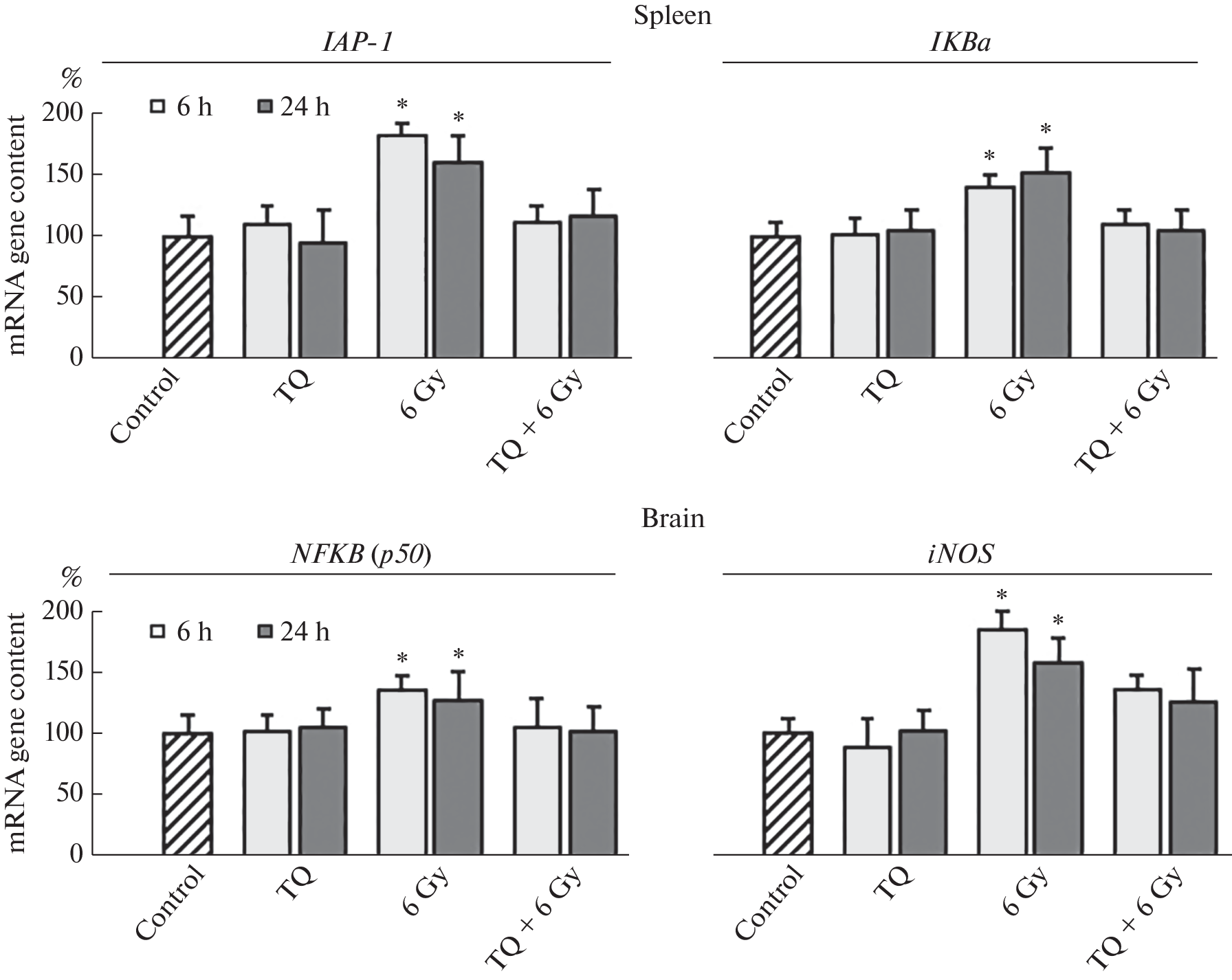 Mechanisms of Modulating Action of Thymoquinone (Component of Black Cumin, ), Affecting the Activity of Some Nuclear and Mitochondrial Genes in Mice Tissue after Exposure to X-ray Radiation