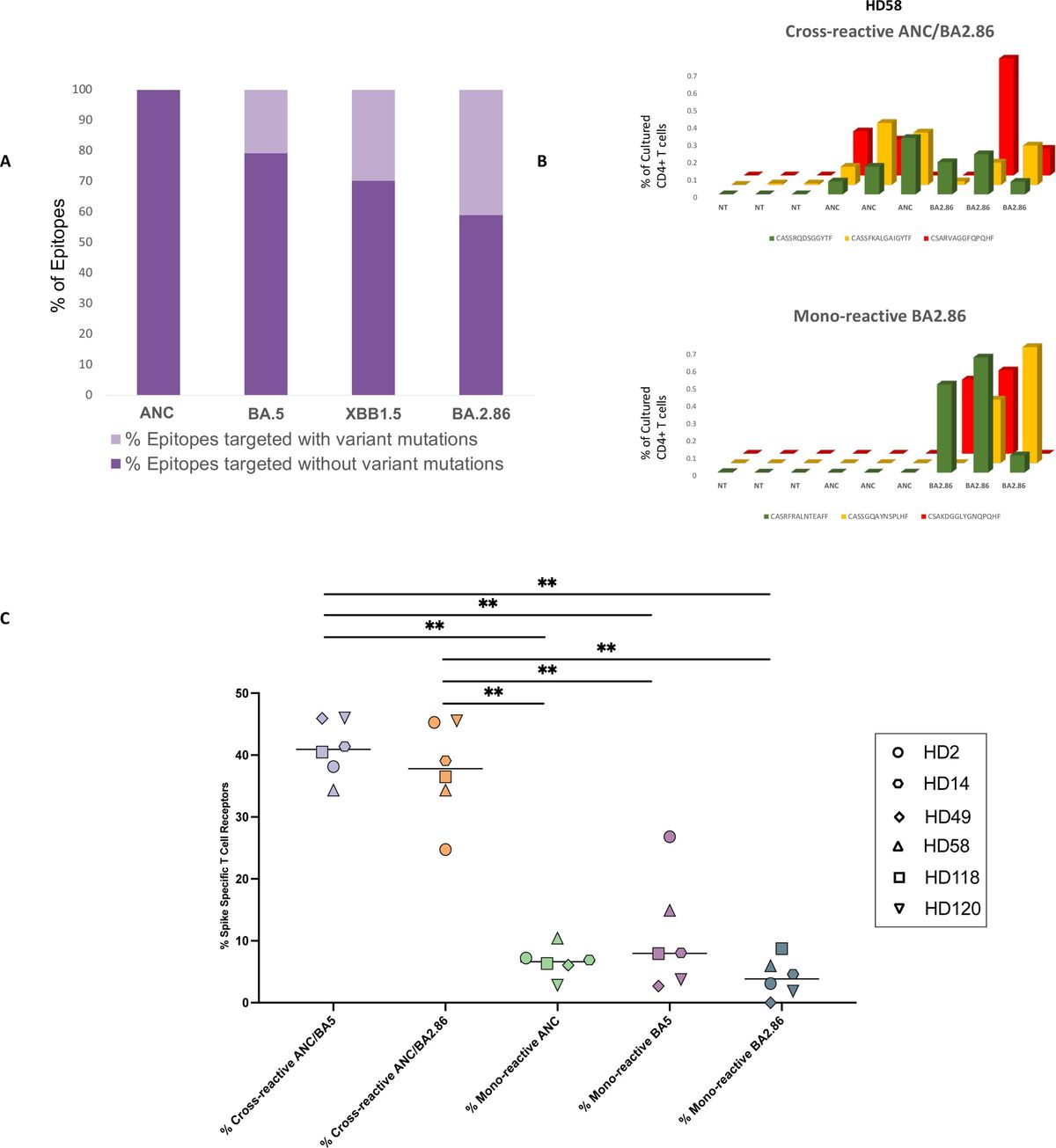 The XBB.1.5 mRNA booster vaccine does not significantly increase the percentage of XBB.1.5 mono-reactive T cells
