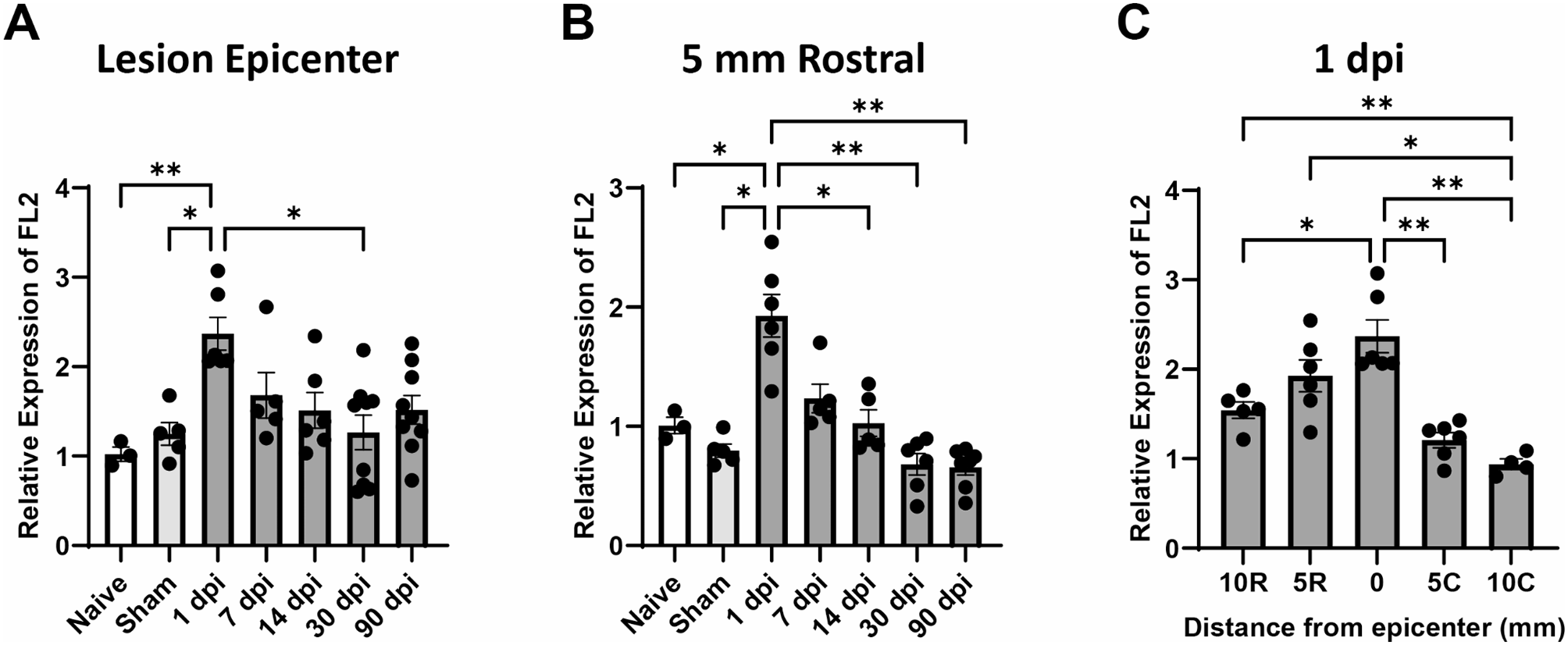 Fidgetin-like 2 knockdown increases acute neuroinflammation and improves recovery in a rat model of spinal cord injury