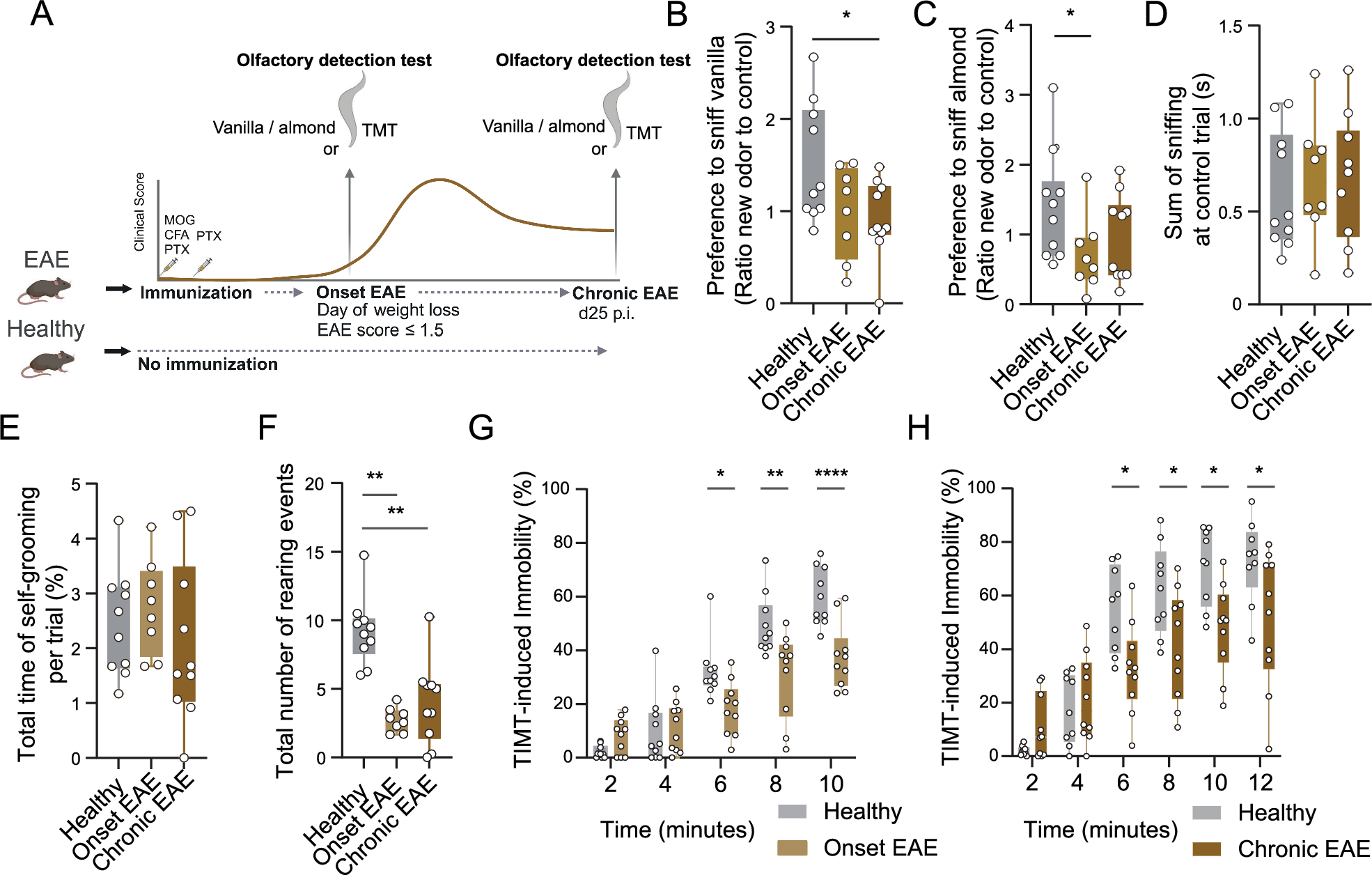 Neuroinflammation causes mitral cell dysfunction and olfactory impairment in a multiple sclerosis model