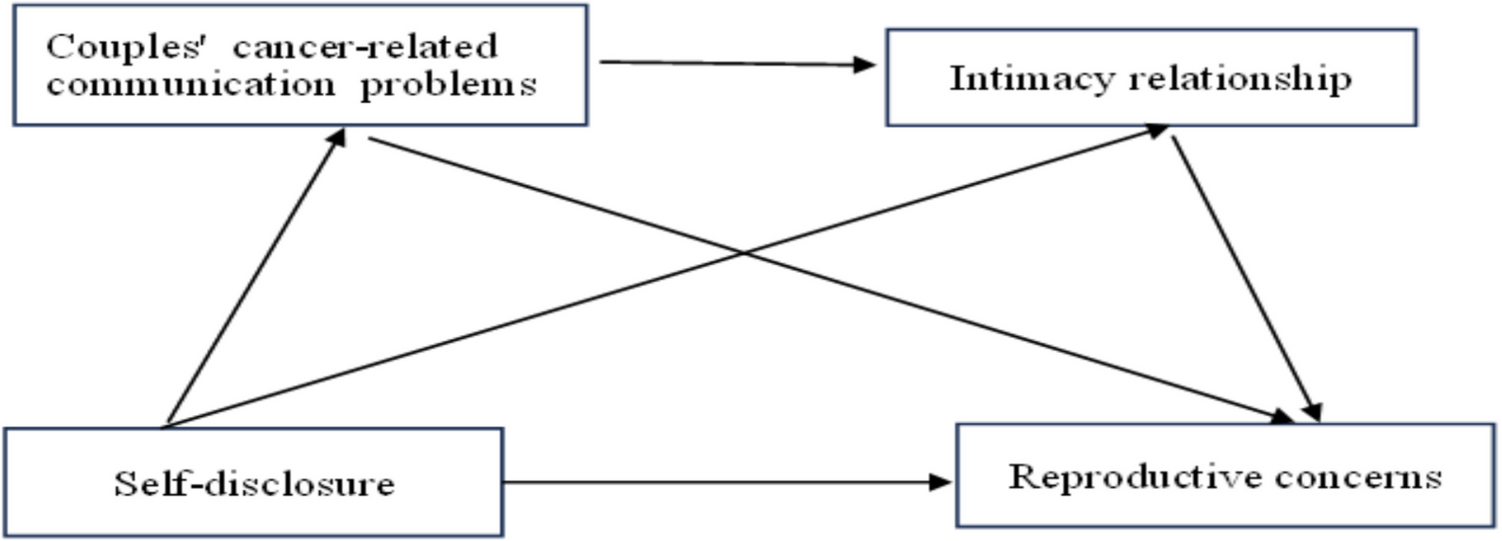 Self-disclosure and reproductive concerns among breast cancer female patients: the chain mediation model of couples’ cancer-related communication problems and relationship intimacy
