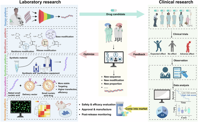 Landscape of small nucleic acid therapeutics: moving from the bench to the clinic as next-generation medicines