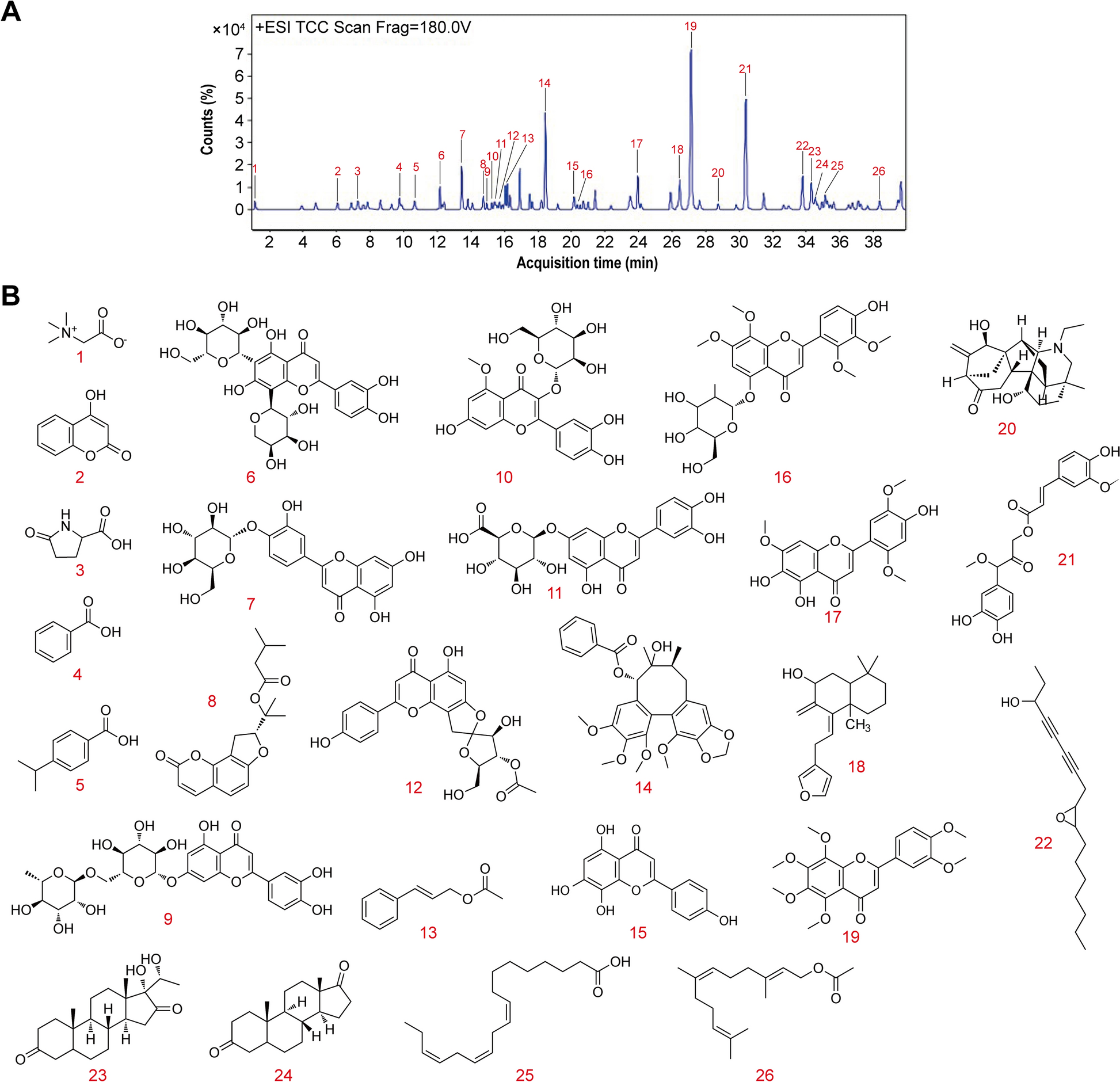 FVTF inhibits hepatocellular carcinoma stem properties via targeting DNMT1/miR-34a-5p/FoxM1 axis