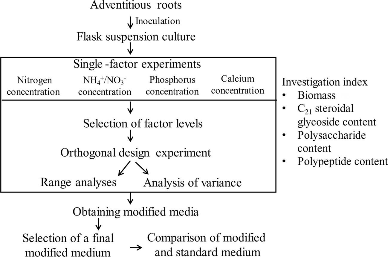 Medium modification of  adventitious root culture for the production of C steroidal glycosides, polysaccharides, and polypeptides using orthogonal design methods