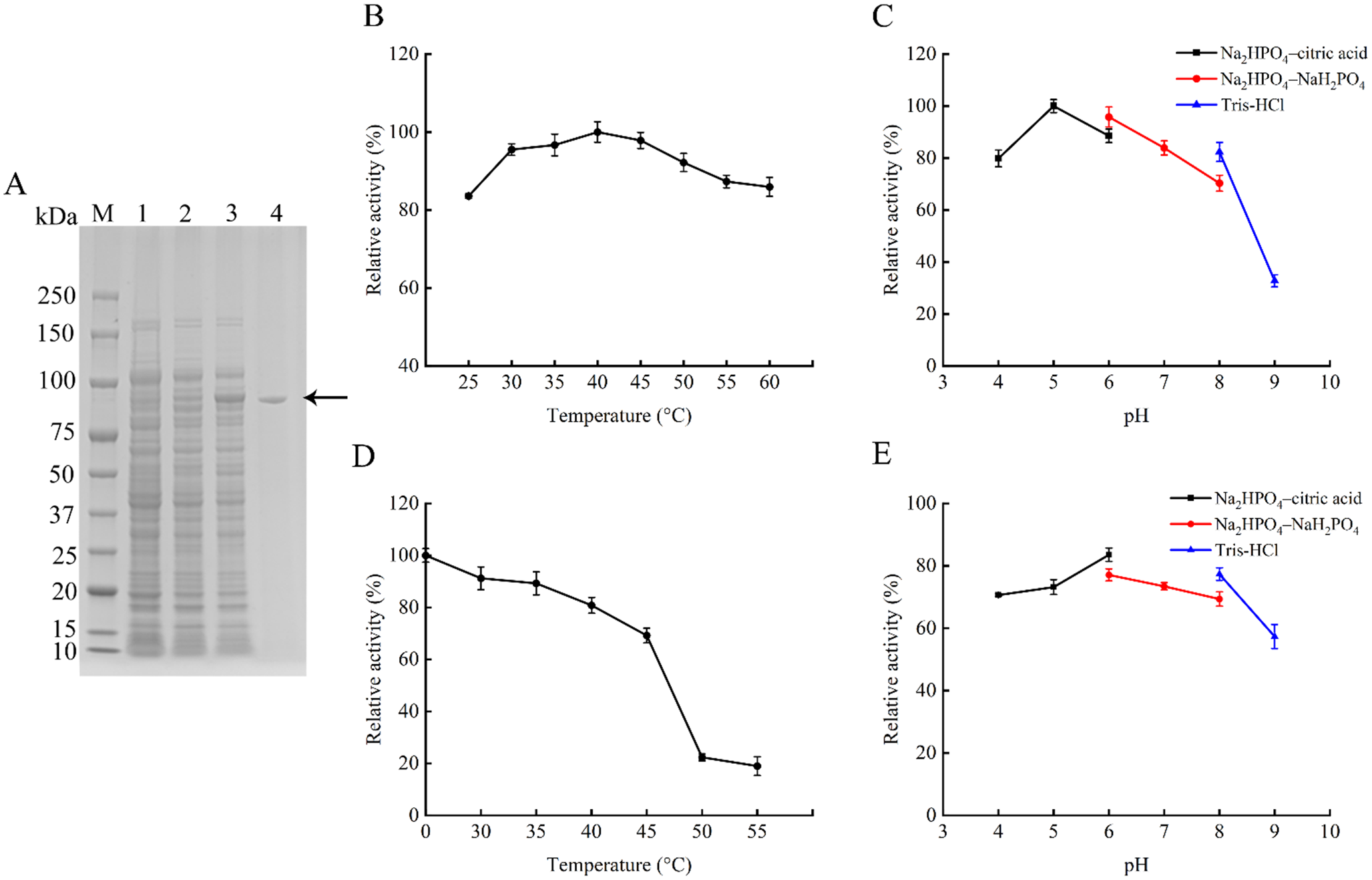 Characterization of a Na-stimulated acidic hyaluronate lyase from  sp. ALW1 and the antioxidant activity of its hydrolysates