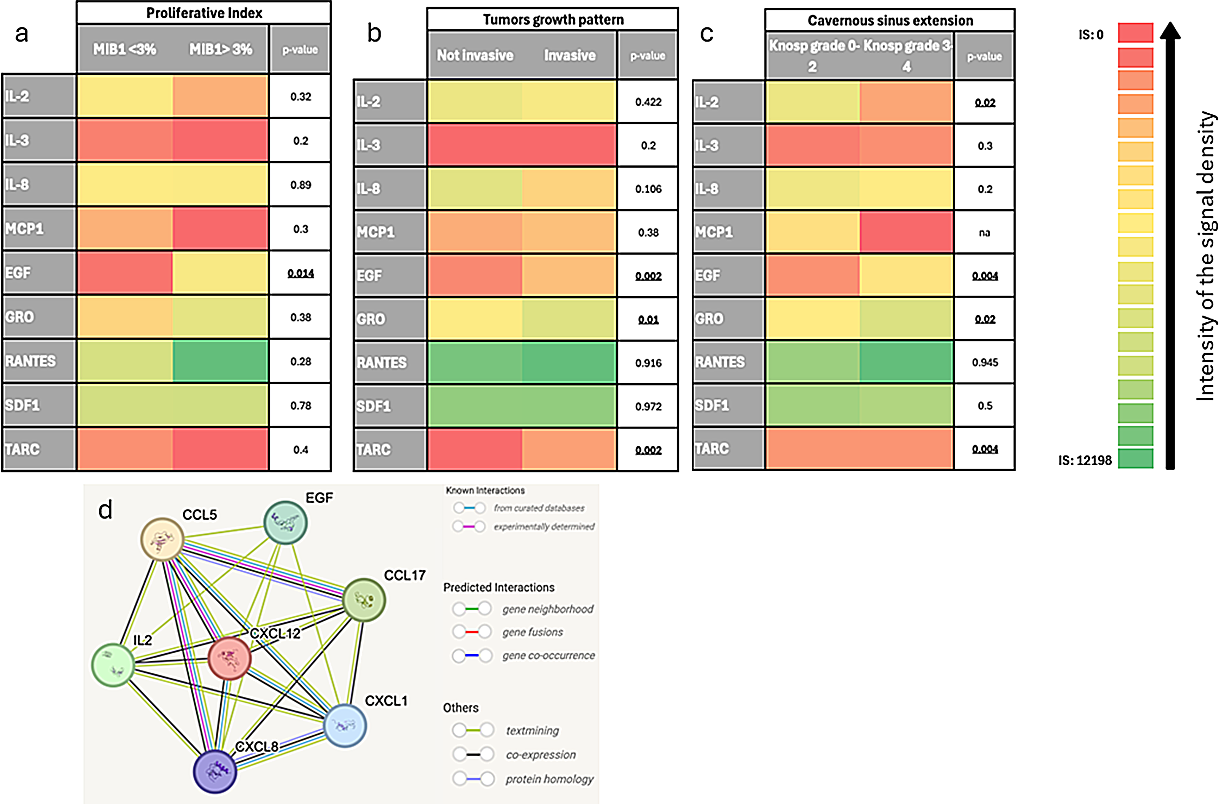 Cytokines and chemokines modulate the growth of pituitary adenoma/neuroendocrine tumors: preliminary results of a monocenter prospective pilot study