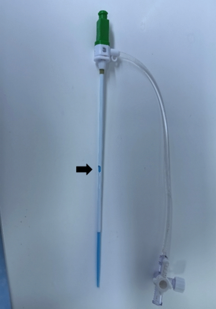 A new technique of anterograde puncture for chronic limb-threatening ischemia with superficial femoral artery flush occlusion: vascular sheath fenestration