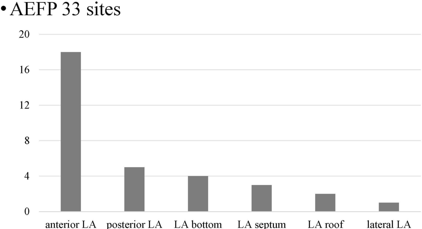 Late gadolinium enhancement in areas with electrically fractionated potentials during sinus rhythm in patients with atrial fibrillation