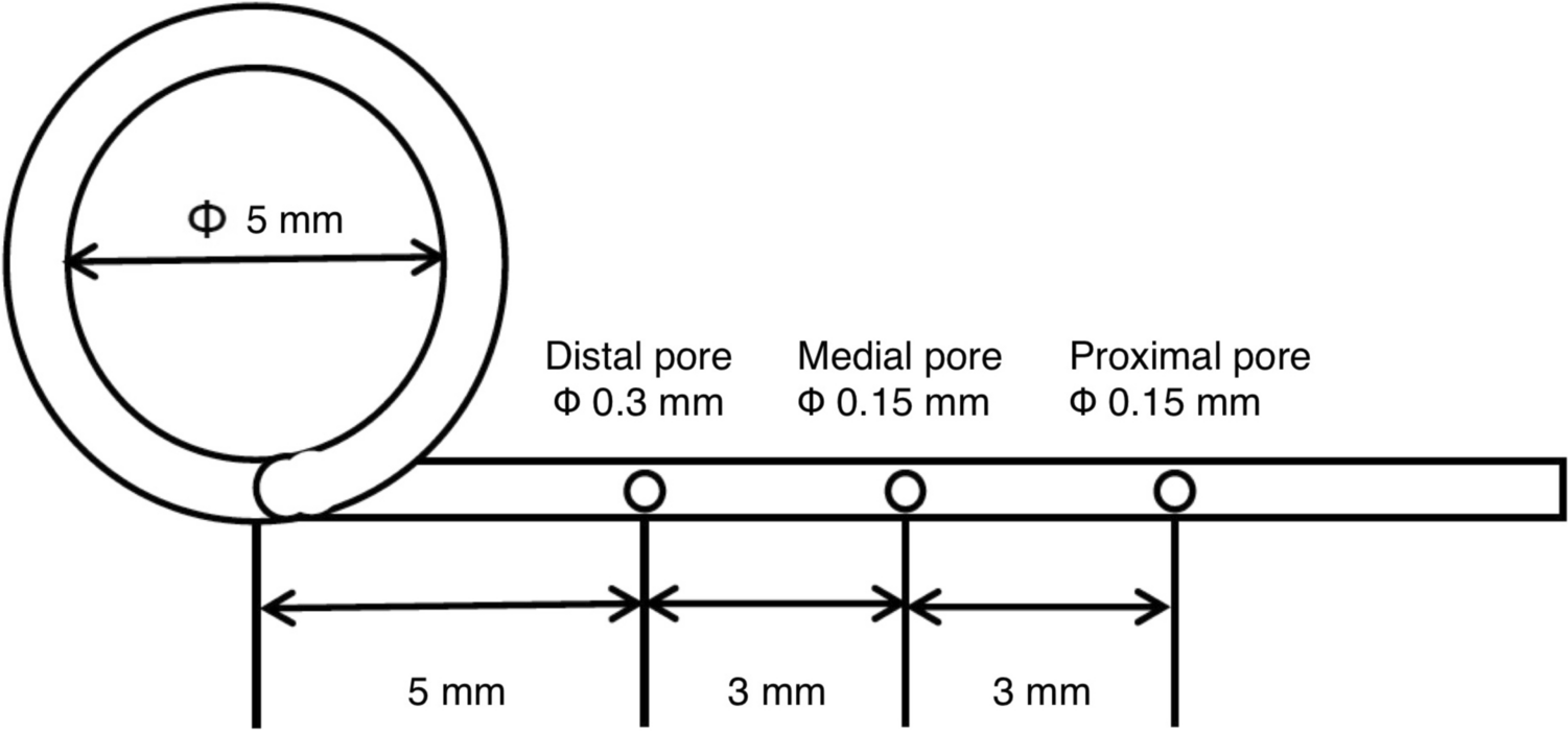 The impact of the pore position of a self-coiling catheter for continuous interscalene brachial plexus block on postoperative pain in patients undergoing arthroscopic rotator cuff repair surgery: a prospective observational study