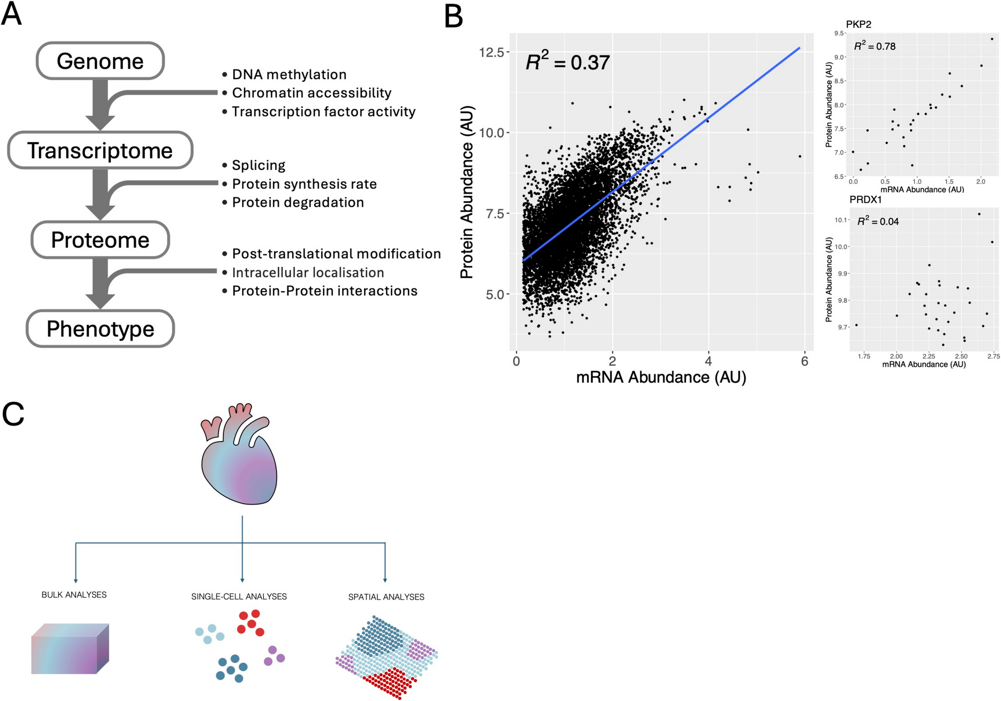 Integrating -Omic Technologies across Modality, Space, and Time to Decipher Remodeling in Cardiac Disease