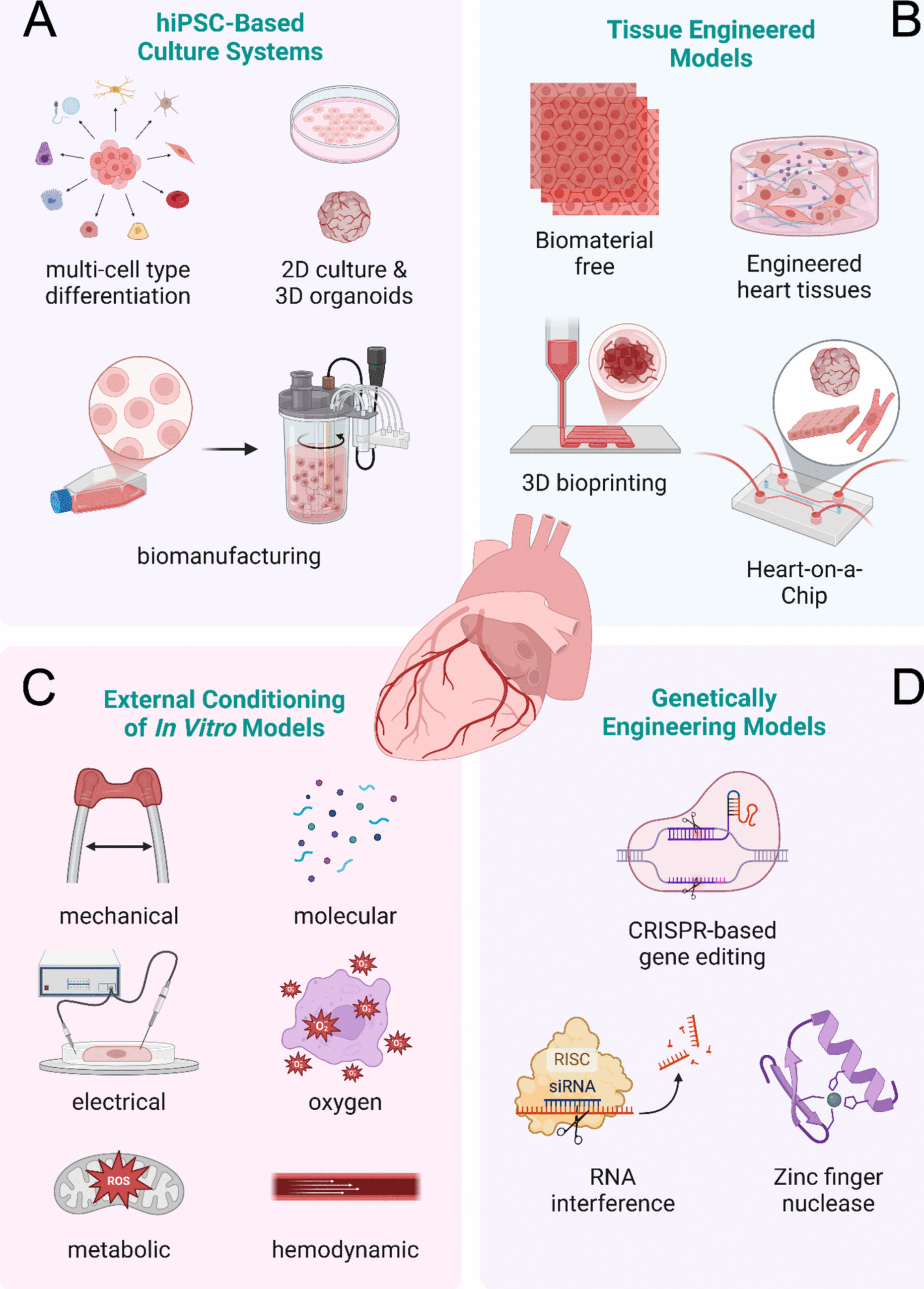 Bioengineering Approaches to In Vitro Modeling of Genetic and Acquired Cardiac Diseases