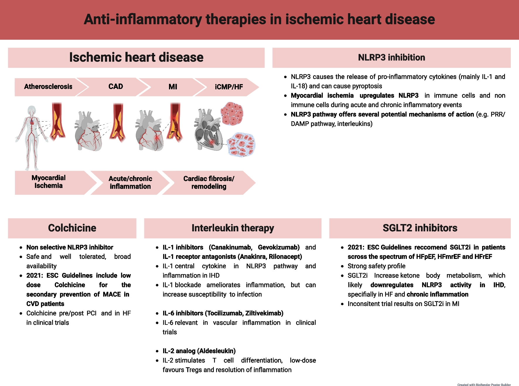 Anti-inflammatory Therapies for Ischemic Heart Disease