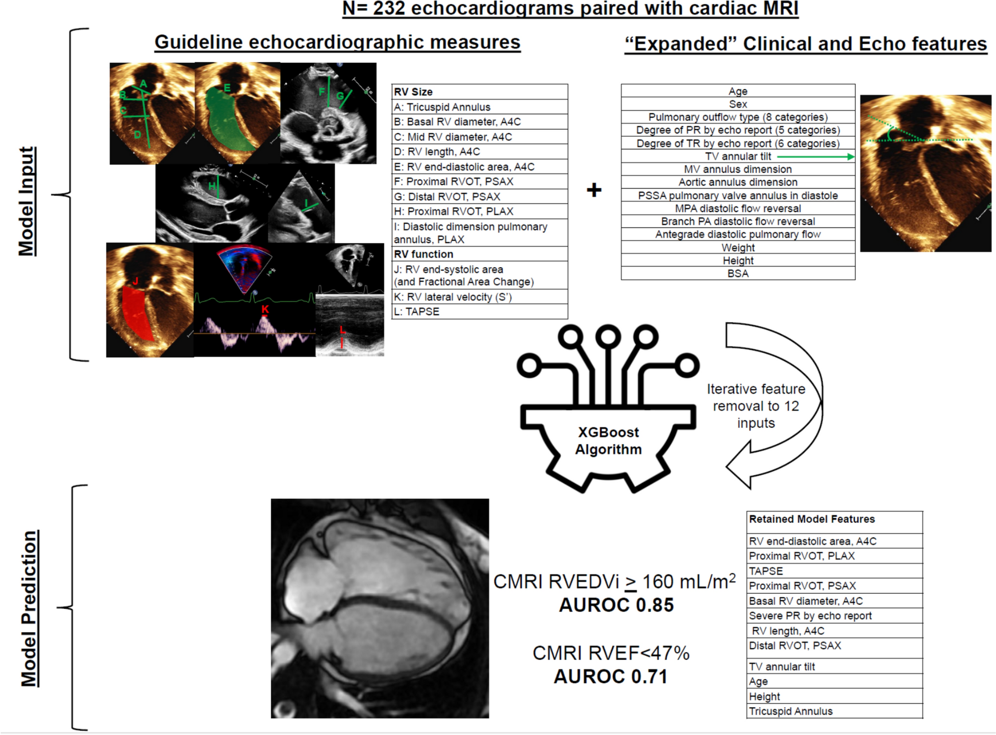 Machine learning prediction of right ventricular volume and ejection fraction from two-dimensional echocardiography in patients with pulmonary regurgitation
