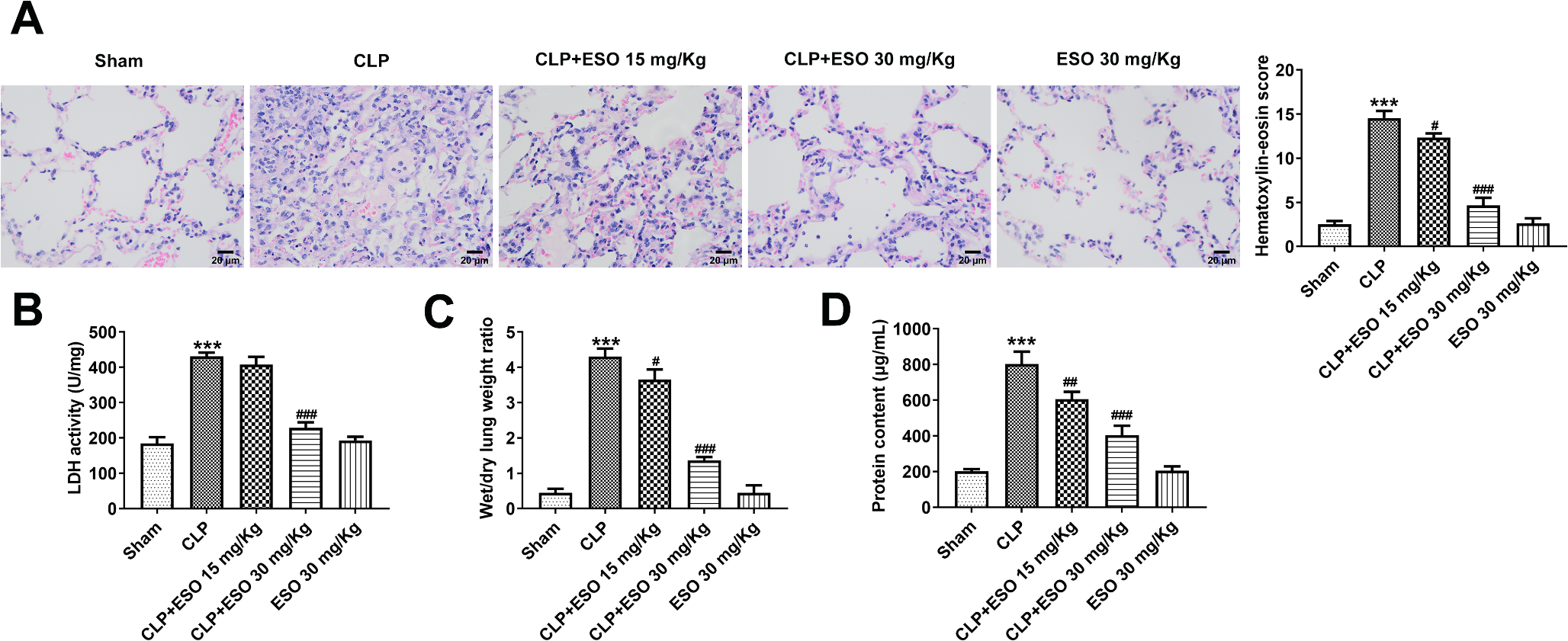 Anti-inflammatory effects of Esomeprazole in septic lung injury by mediating endoplasmic reticulum stress