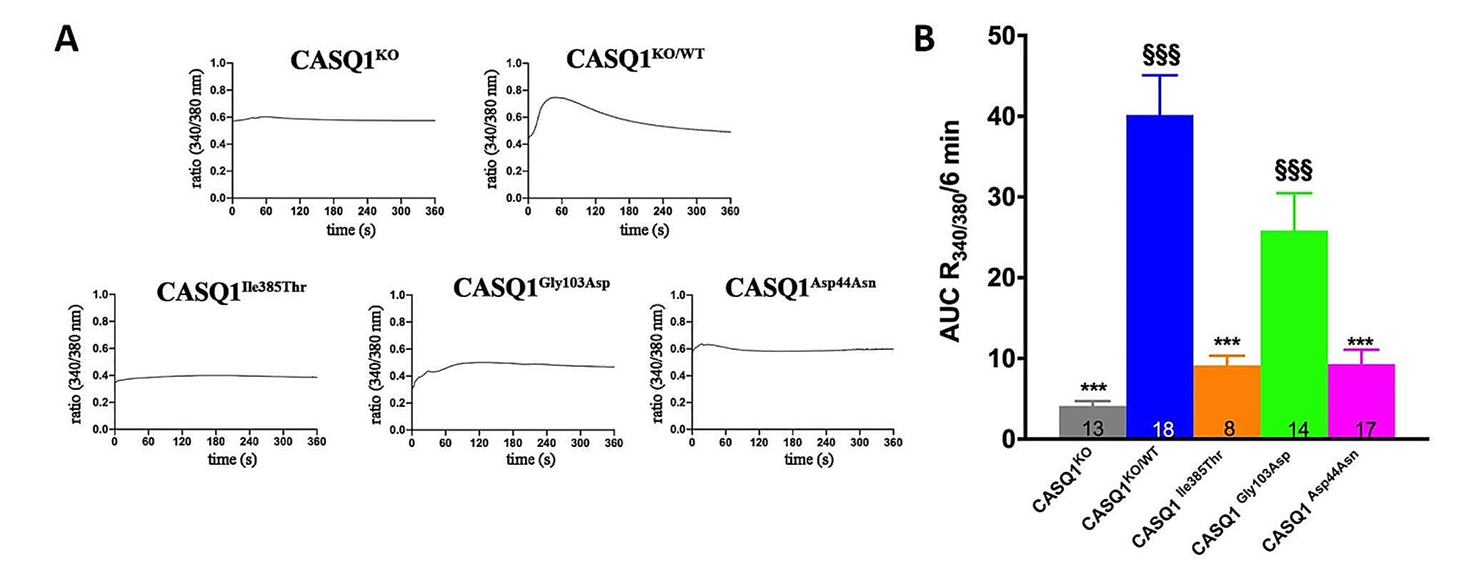 TAM-associated CASQ1 mutants diminish intracellular Ca content and interfere with regulation of SOCE