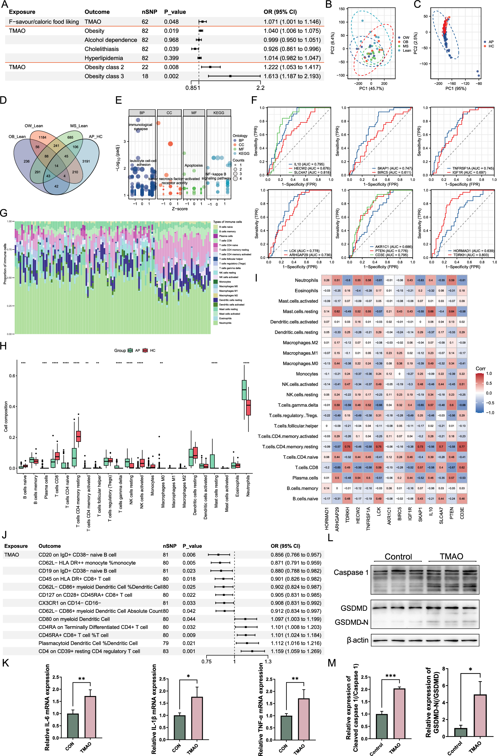 The causal dance: trimethylamine N-oxide, obesity, and acute pancreatitis in pathophysiological harmony