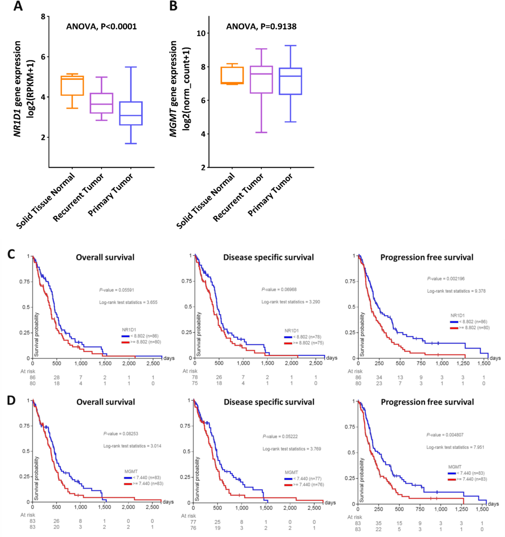 Correlation between levels of clock protein expression and effects on temozolomide-resistant glioblastoma and tumor progression