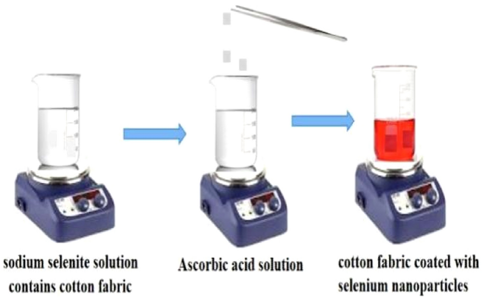 Hydrophobic, mechanical and anti-bacterial properties of selenium nanoparticles coated cotton fabrics