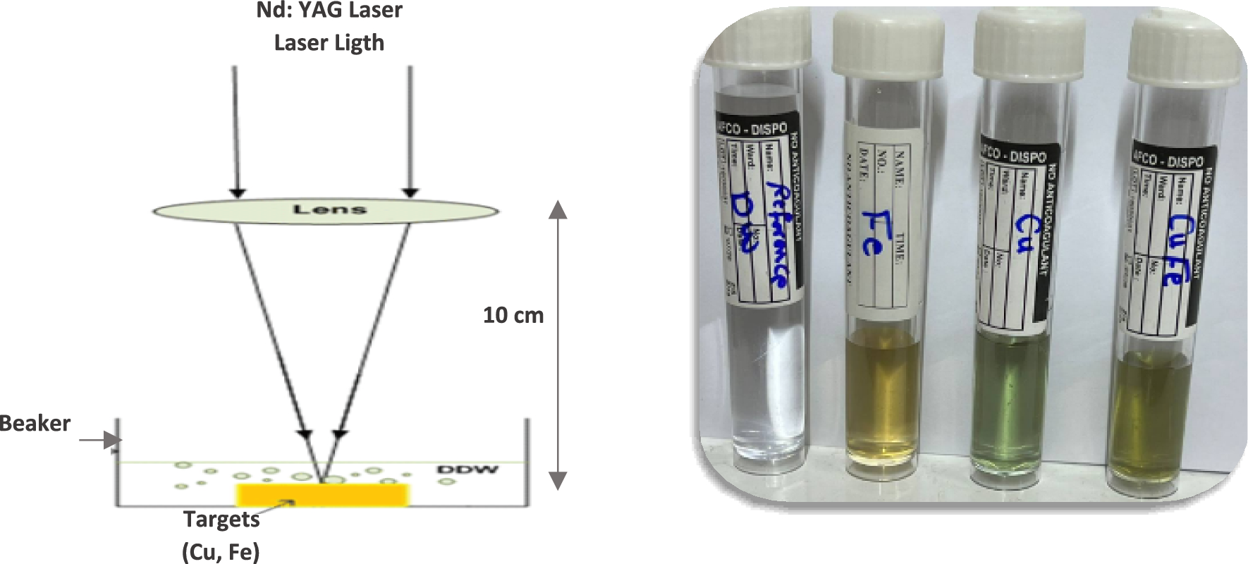 Agro-environmental influence and interaction of nanoparticles (CuO, FeO, FeO@CuO) on microorganisms causing illnesses of tomato root and stems