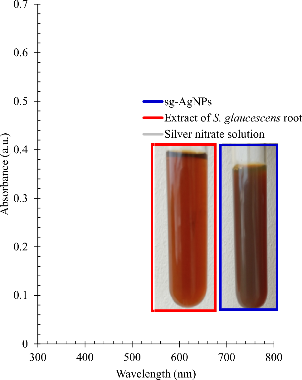 Antimicrobial silver nanoparticles derived from  exhibit significant ecotoxicological impact in waste stabilization ponds