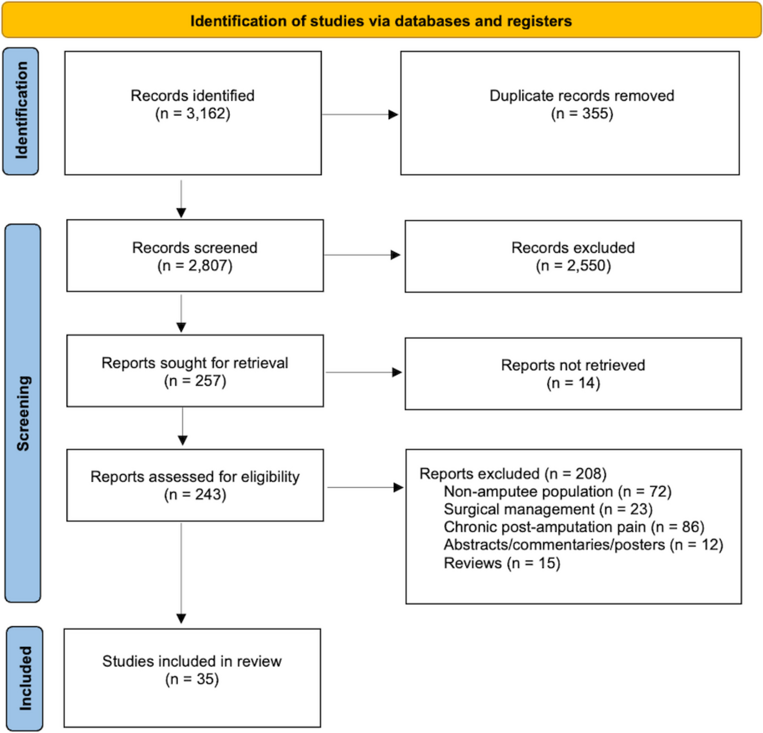 Perioperative Pain Management for Major Limb Amputation – A Systematic-Narrative Hybrid Review
