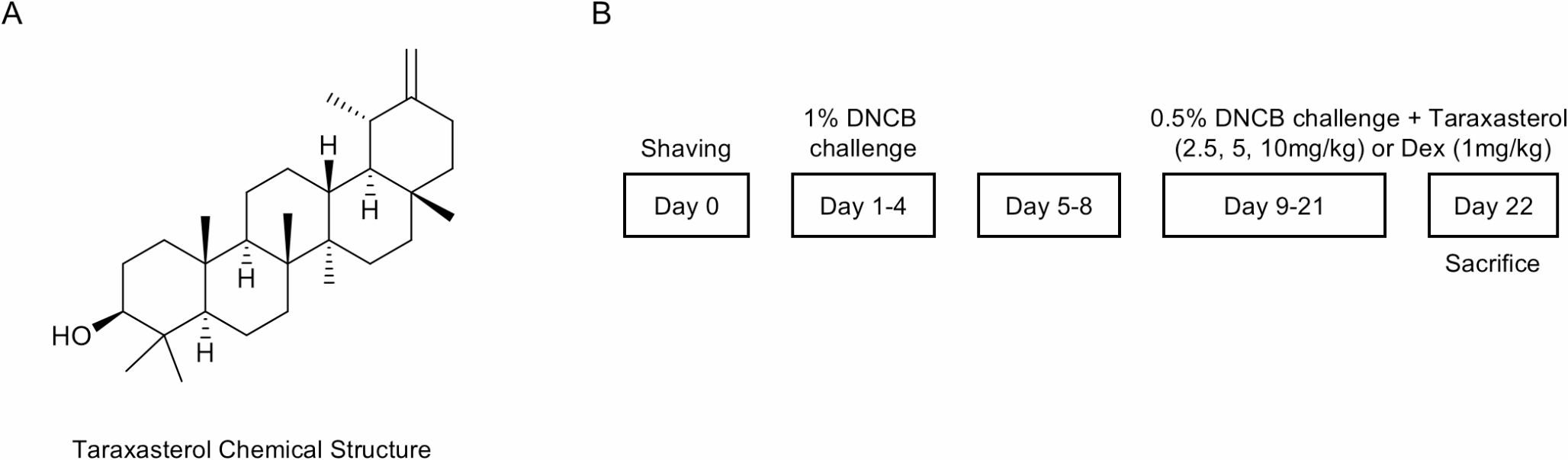 Taraxasterol attenuates inflammatory responses in a 2,4-dinitrochlorobenzene-induced atopic dermatitis mouse model via inactivation of the MAPK and NF-κB pathways