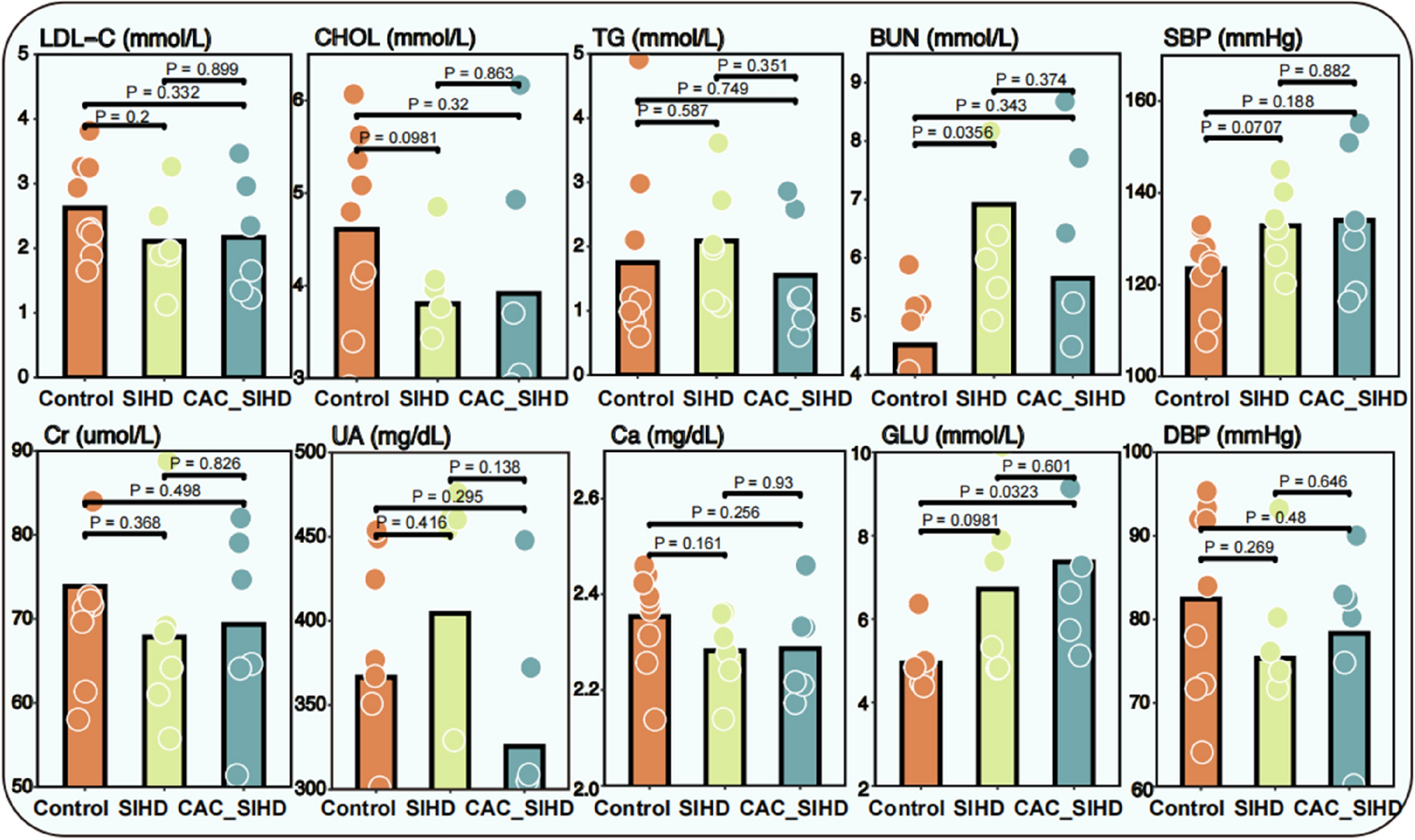 Serum proteomic profiling reveals potential predictive indicators for coronary artery calcification in stable ischemic heart disease