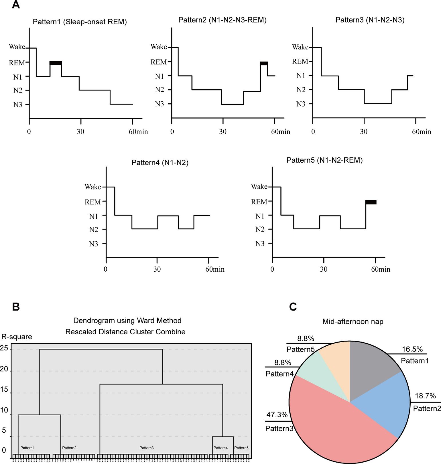 The diverse sleep structure of mid-day nap in college students