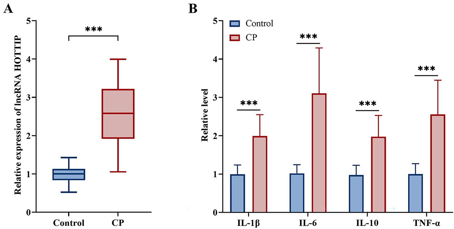 LncRNA HOTTIP as a potential biomarker of chronic periodontitis and its role in inflammatory responses