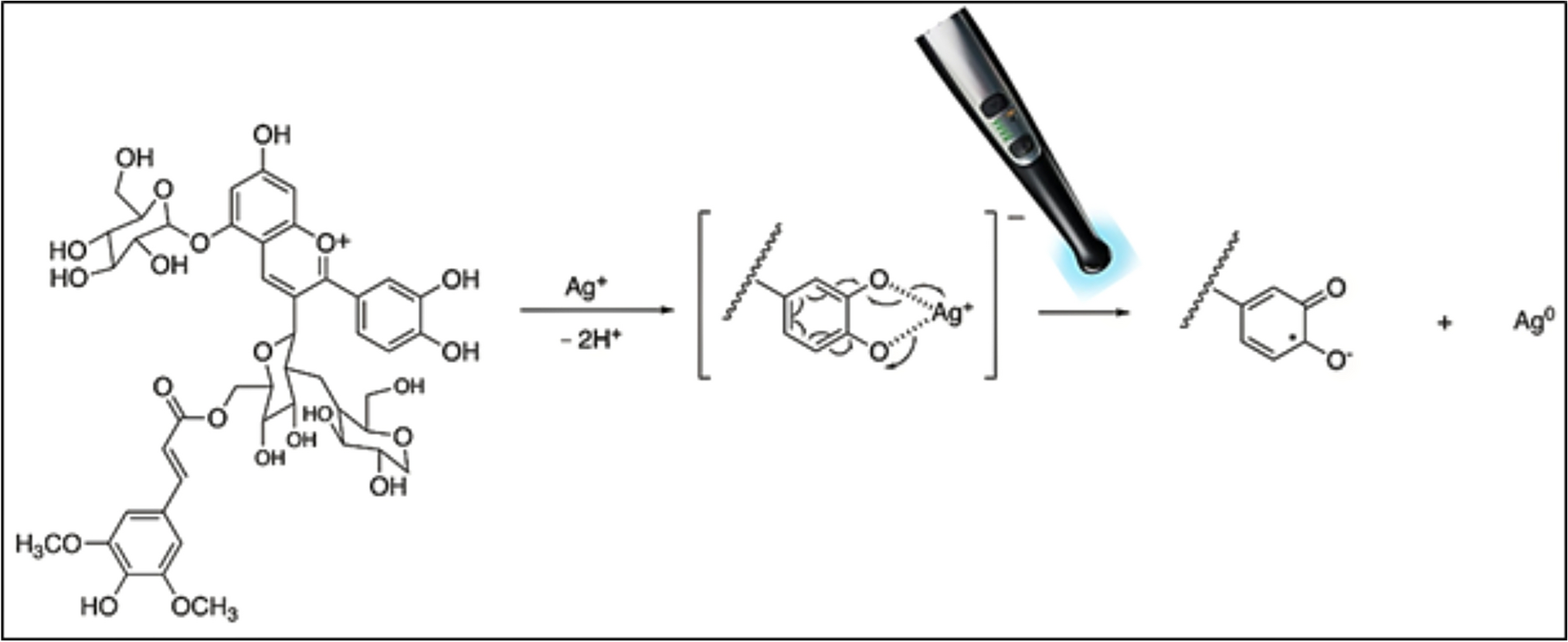 LED light promoted synthesis of silver nanoparticle with red cabbage extract in clinical conditions and its dental applications