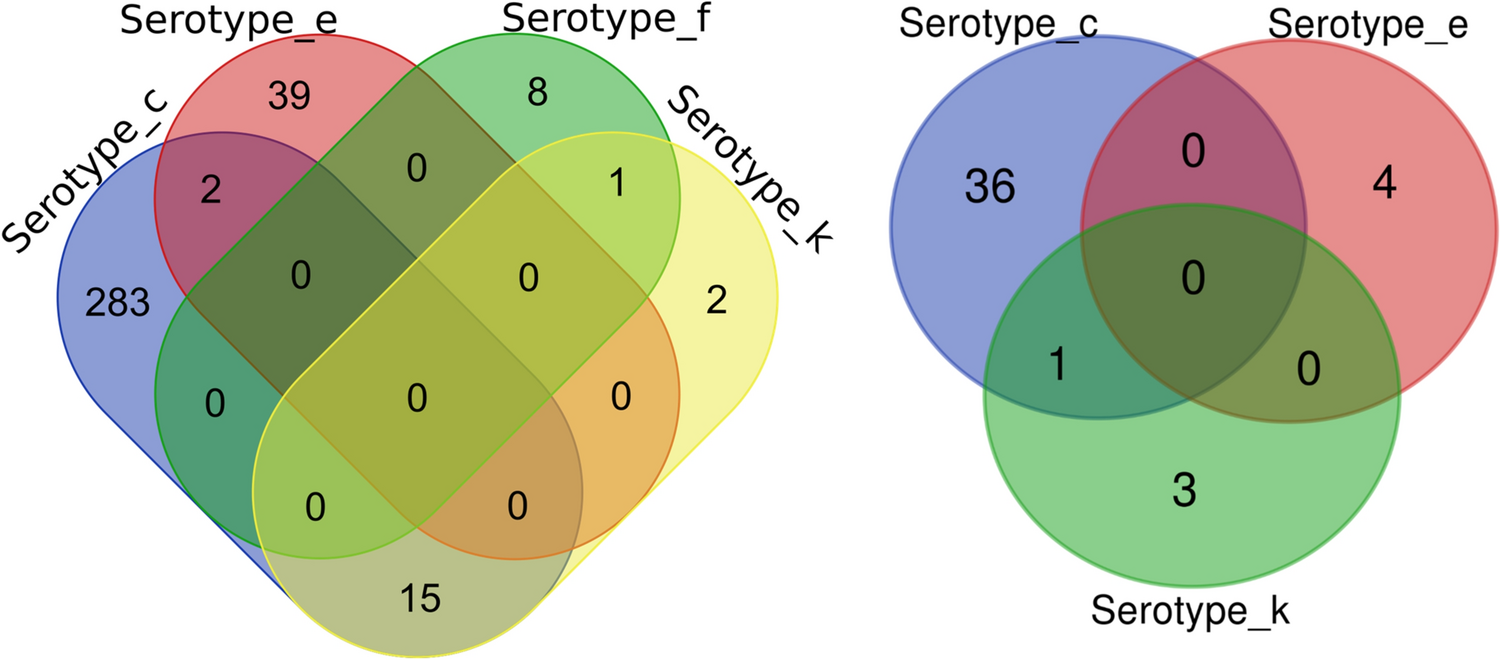 Serotype and distribution of adhesion genes in  isolated from people with Parkinson’s disease