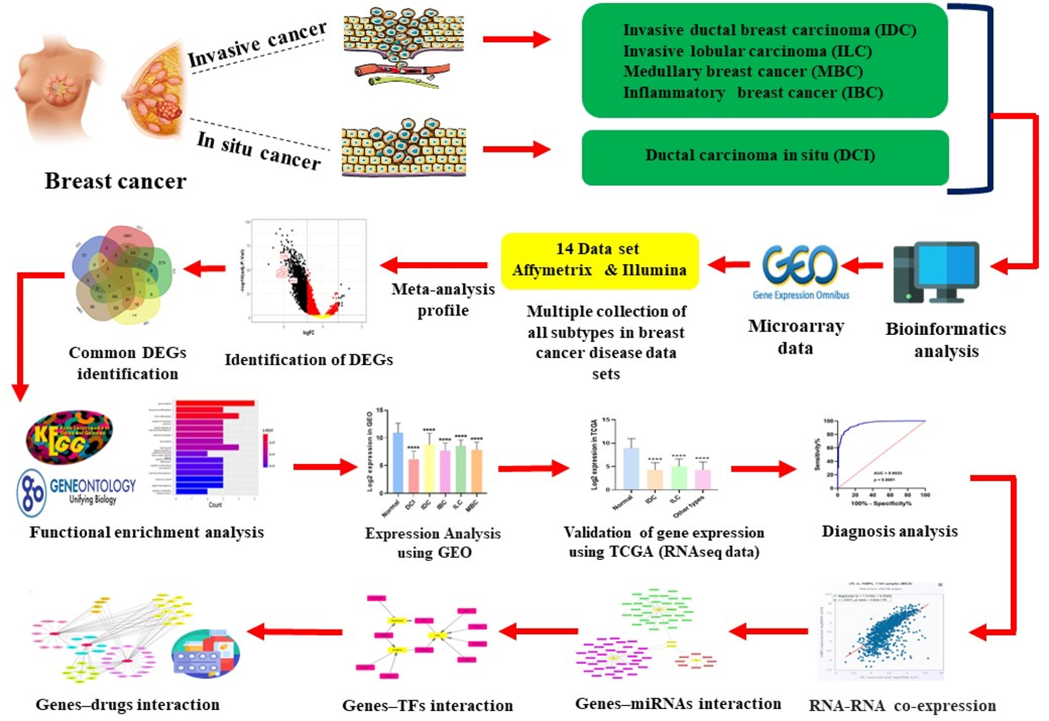 Identification of Genes and Pathways Involved in Breast Cancer Subtypes through Expression Meta-analysis