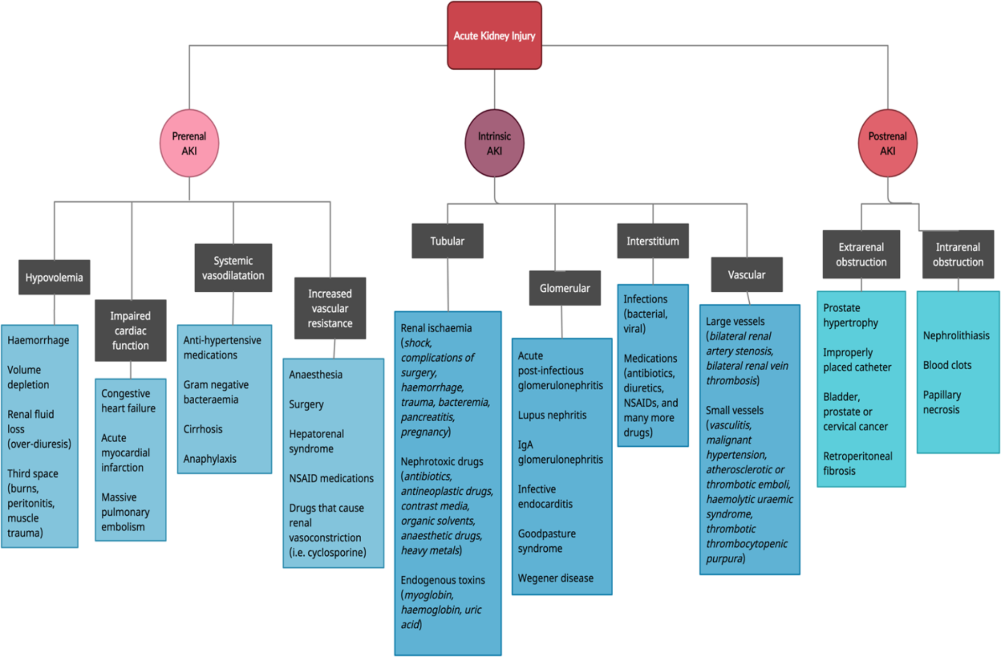 Implementation of Alert System for Early Diagnosis of Acute Kidney Injury: Paving the Way for National Public Health Advisory in India