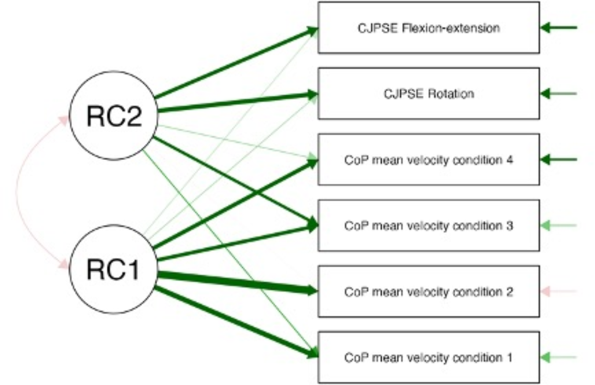Sensory profiles in older adults with orthopedic conditions during quiet stance: a cross-sectional study