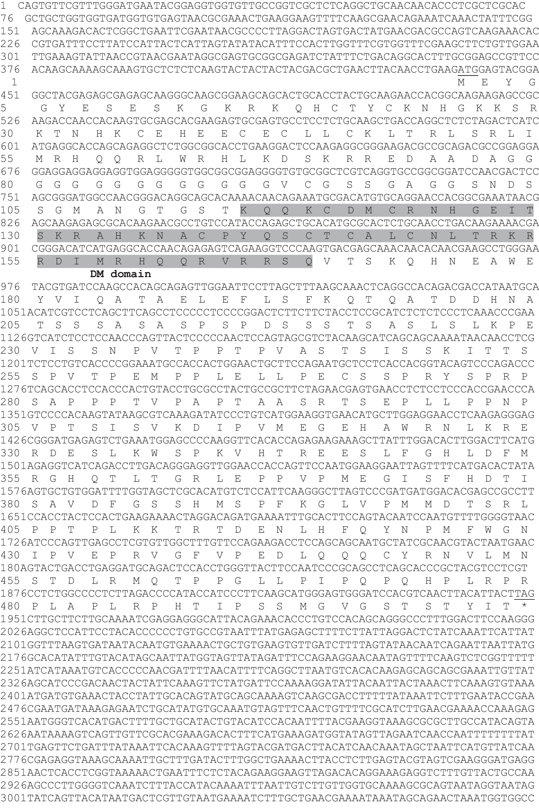 Identification and characterization of the Dmrt1B gene in the oriental river prawn,