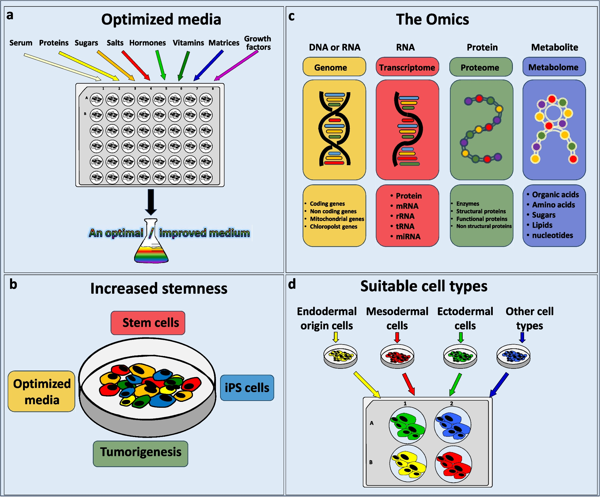 Advancing marine invertebrate cell line research: four key knowledge gaps